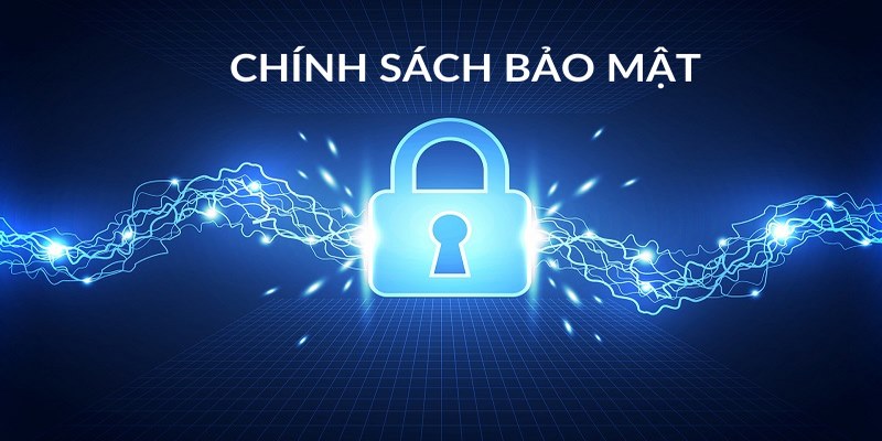 Những thông tin cá nhân chúng tôi thu thập từ bạn